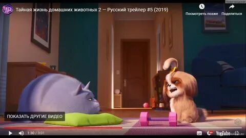 Почему тайная жизнь