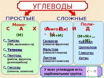 Химический состав углеводов