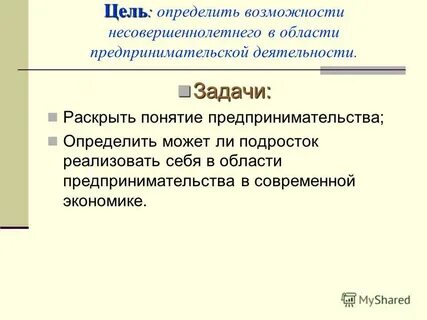 Предпринимательская деятельность подростков проект