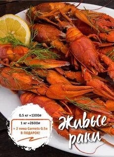 Раки рядом