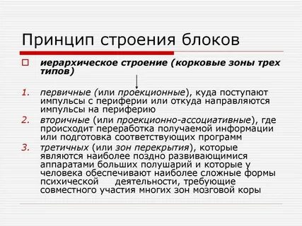 Принципы анатомии