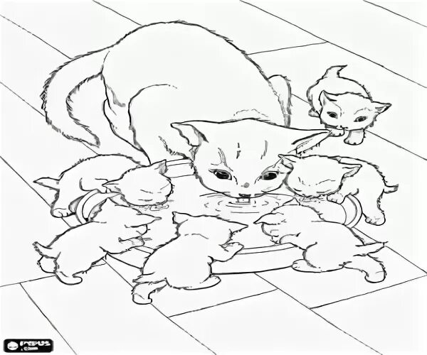 Мама нарисуй котенка