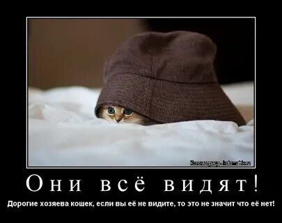 Дорогой хозяин