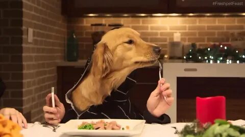The dog is behind the table