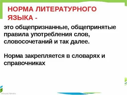 Качество речи нормы литературного языка