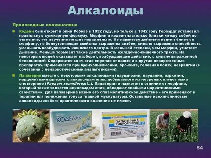 Алкалоиды это