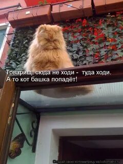 Сюда не садиться