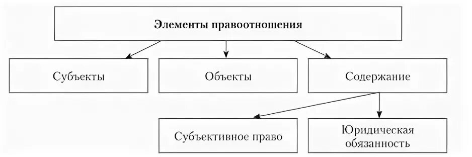 Состав правоотношений тгп. Состав правоотношений тгп