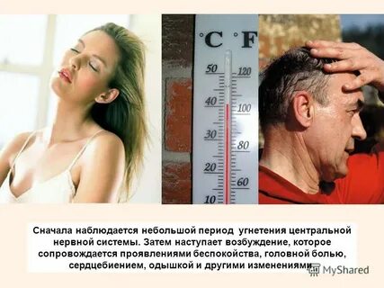 Головная боль сердцебиение