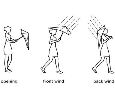 Wind back