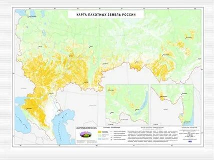 Площадь обрабатываемых земель