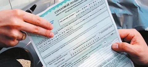 Как узнать владельца осаго