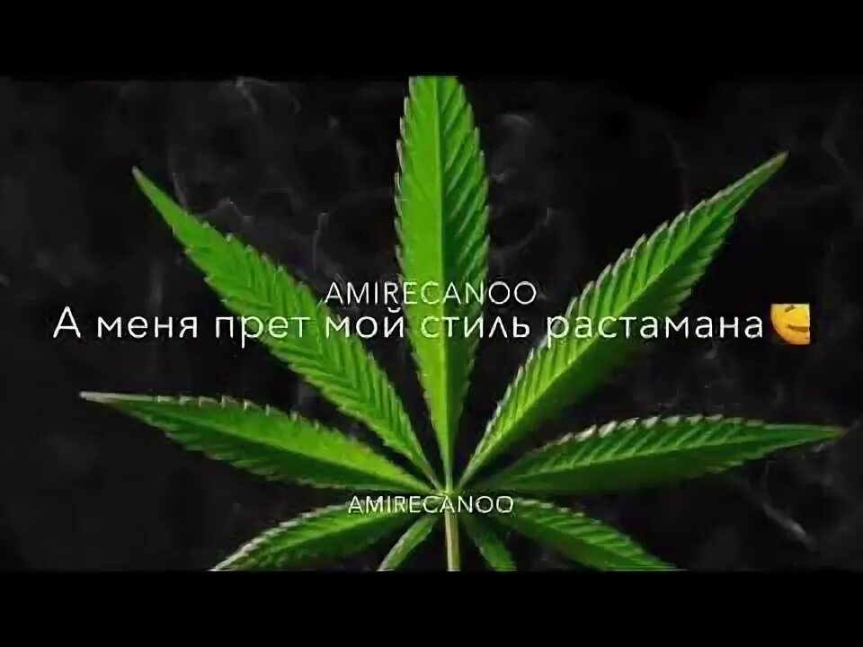 X life душа растамана. Растаман добрый. текст гиббон мой стиль растамана. &quot;гиббон аи-2&quot; &amp;&amp; ( исполнитель  группа  музыка  music  band  artist ) &amp;&amp; (фото  photo). растаман песня текст.