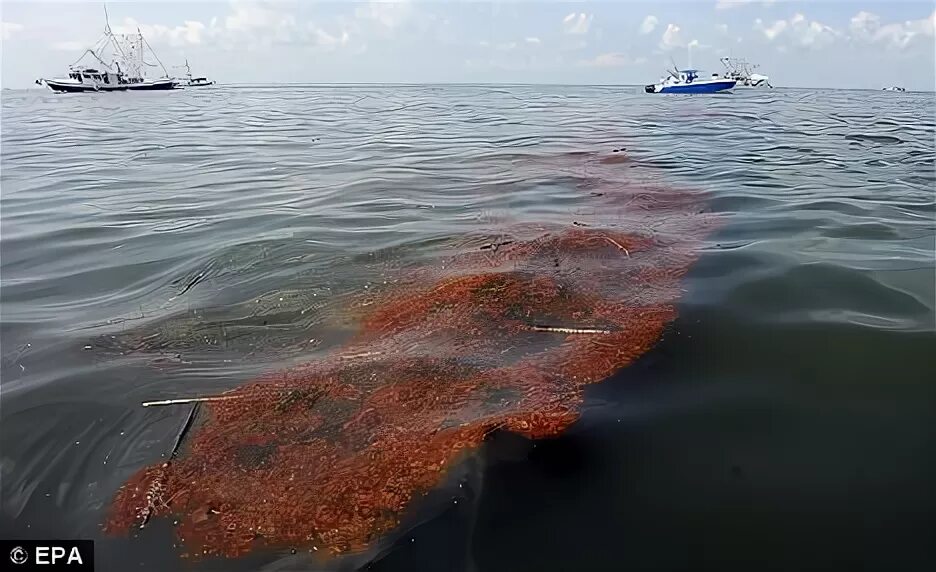 Пятно мазута в черном море. Разлив нефти в мировом океане. черное море загрязнено нефтепродуктами. разлив нефти в черном море. акватория мексиканского залива.