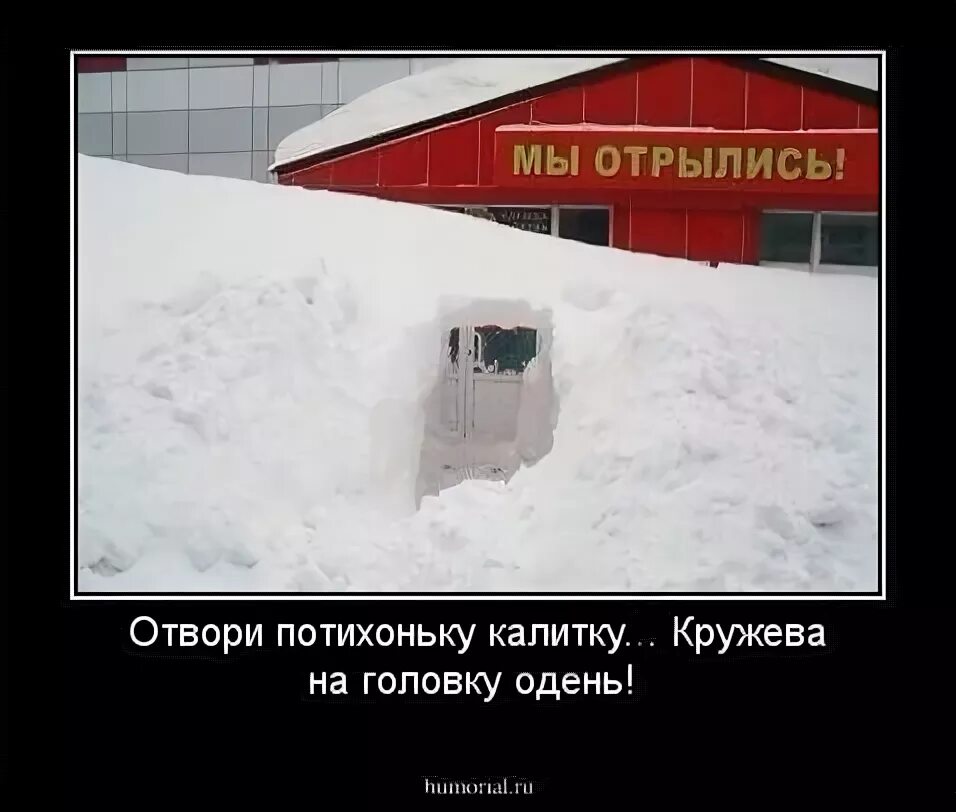 Отвори потихоньку калитку текст. Плющ ворота поместье. Потихоньку калитку. Отвори потихоньку калитку камбурова. Потихоньку калитку.