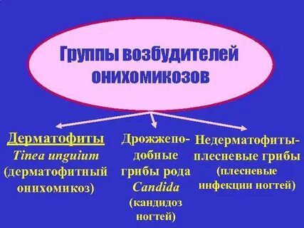 Возбудитель группа
