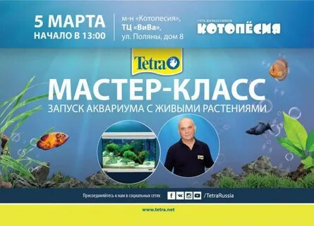 Тетра форум