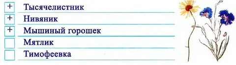 Жизнь луга 4 класс окружающий мир рабочая