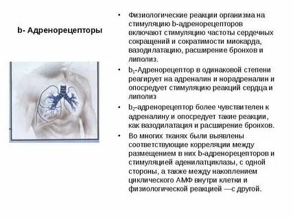 Стимуляция организма