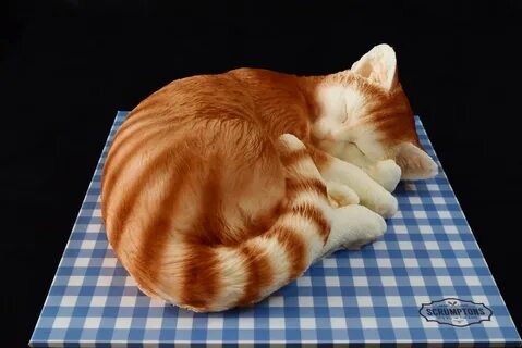 Кот марципан