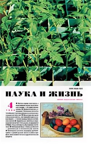 Наука и жизнь 8