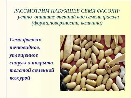 Рассмотрите внешний вид