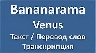 Venus текст
