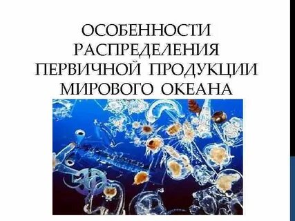 Распределение первичной продукции