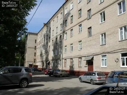 Королев садовая