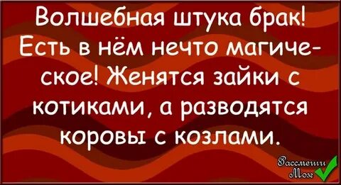 Этот брак был ошибкой