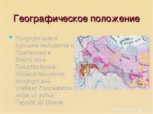 Географическое положение полупустыни в россии