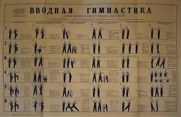 Вводная гимнастика