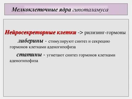 Нейросекреторные клетки гипоталамуса