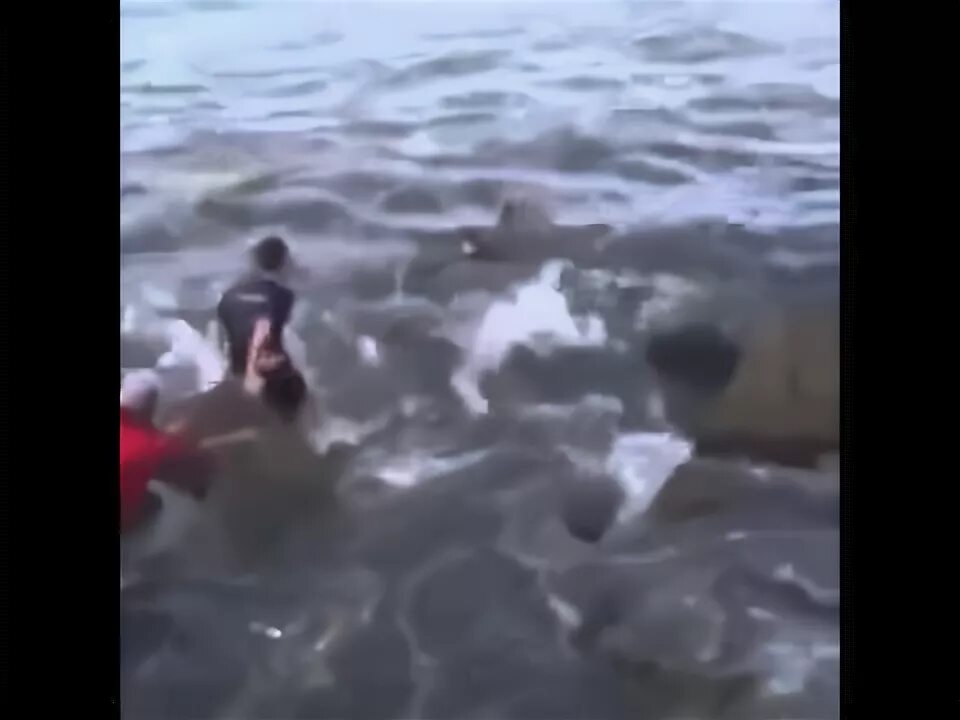 Утонули в каспийском море. Крым волны штормовые. Фото люду унесло ветром. Девушка в волнах моря. Видео девушку унесло волной.