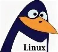 Vk linux