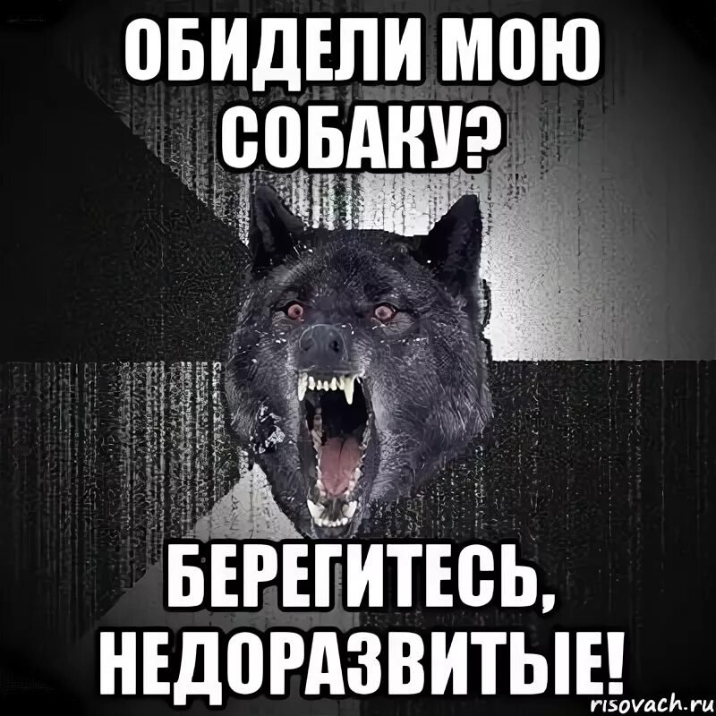 Женщин и собак обижать не. Не обижайте мою собаку. Сумасшедший волк Мем. Собака обиделась Мем. Обидел мою собаку.