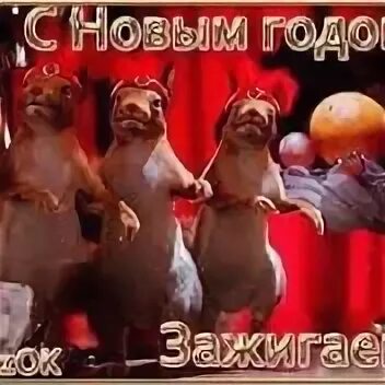 Прикольные поздравления видео с новым годом 2024