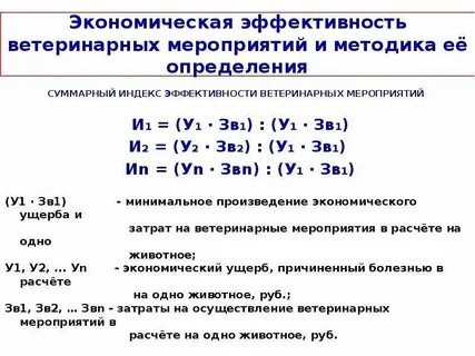Определения экономической эффективности организации