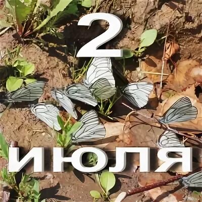 02 июля