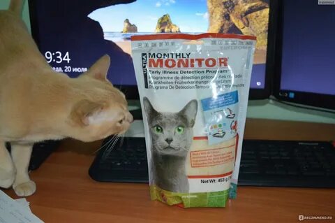 Пот кошачьей мочой