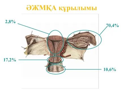 Қытайдың ауылдық жерлеріндегі көшедегі секс