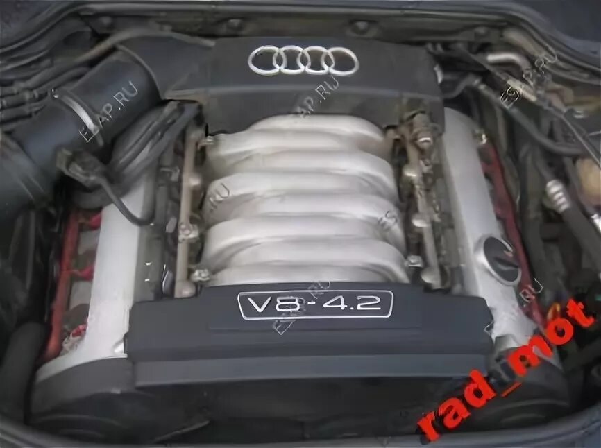 4.2 bfm. 4.2 bfm