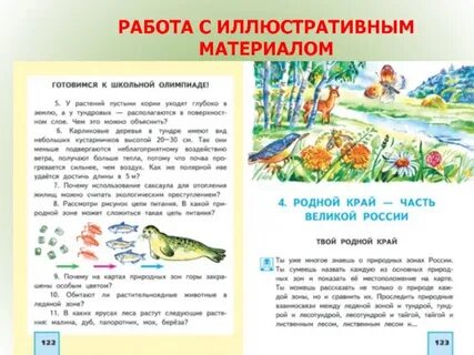 Работа с наглядным материалом