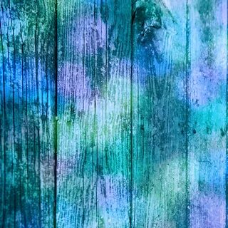Colorful woods
