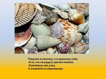 Ракушка текст