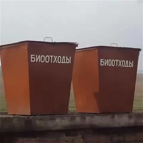 Закон об утилизации биологических отходов. Закон об утилизации биологических отходов