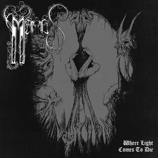 Where the light