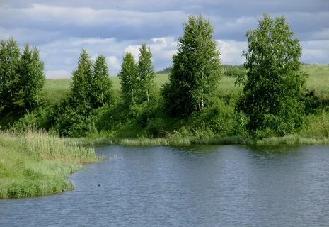 Зауралье курганская область