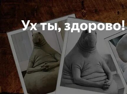 Здорово что это ты
