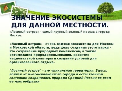 Значение экосистемы